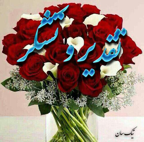 تقدیر و تشکر
